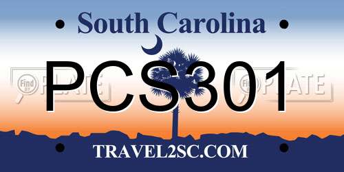 PCS301 South Carolina License Plate