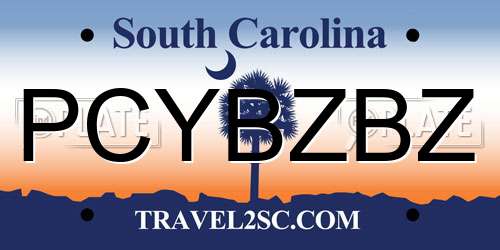 PCYBZBZ South Carolina License Plate