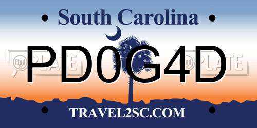 PD0G4D South Carolina License Plate