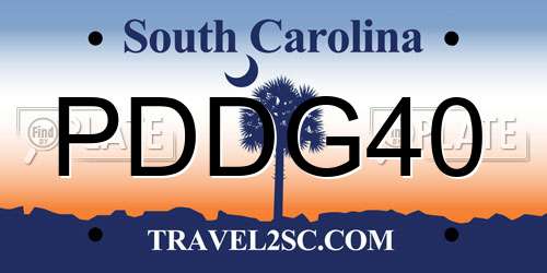 PDDG40 South Carolina License Plate