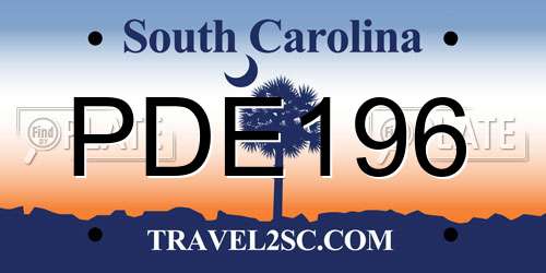 PDE196 South Carolina License Plate