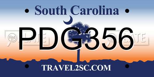 PDG356 South Carolina License Plate