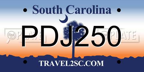 PDJ250 South Carolina License Plate