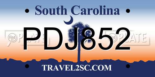 PDJ852 South Carolina License Plate