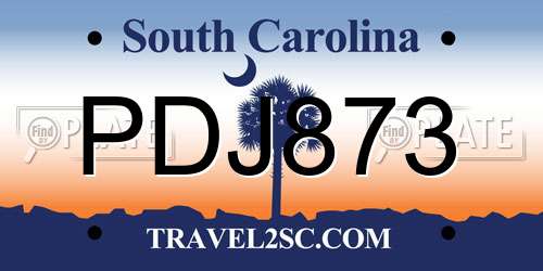 PDJ873 South Carolina License Plate