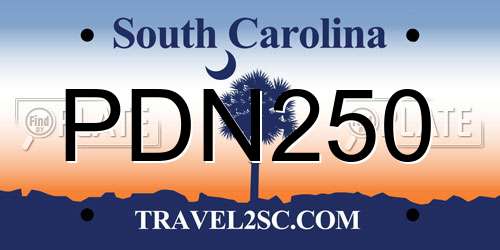 PDN250 South Carolina License Plate