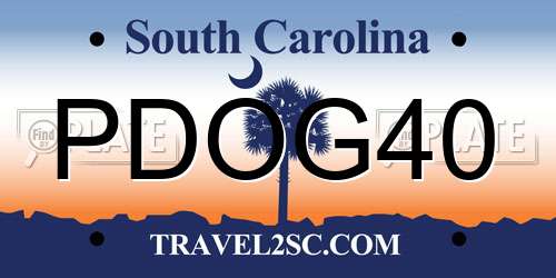 PDOG40 South Carolina License Plate