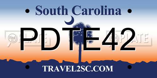 PDTE42 South Carolina License Plate