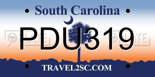 PDU319 South Carolina License Plate
