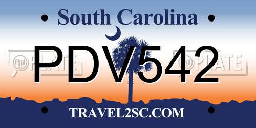 PDV542 South Carolina License Plate