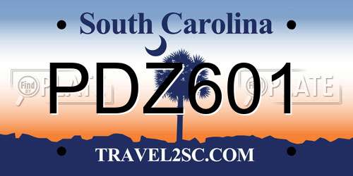 PDZ601 South Carolina License Plate