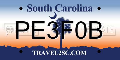 PE3F0B South Carolina License Plate