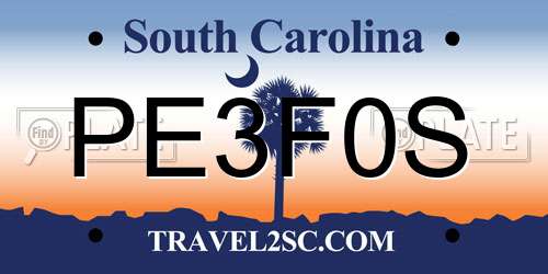 PE3F0S South Carolina License Plate