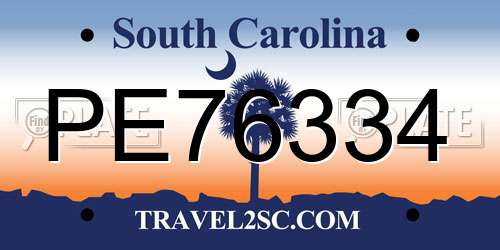 PE76334 South Carolina License Plate
