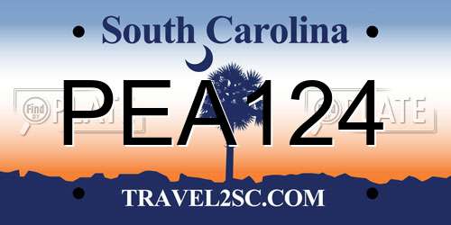 PEA124 South Carolina License Plate