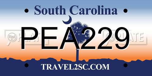 PEA229 South Carolina License Plate