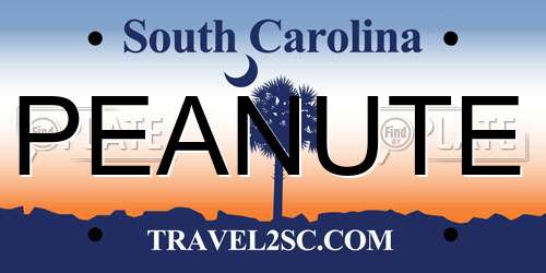 PEANUTE South Carolina License Plate