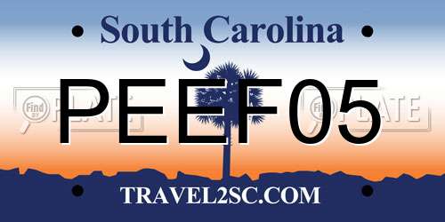 PEEF05 South Carolina License Plate