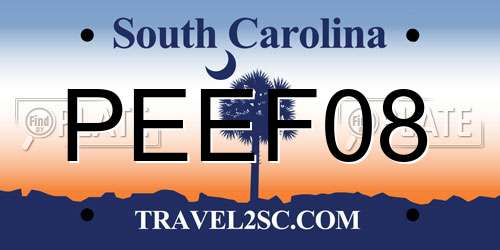 PEEF08 South Carolina License Plate