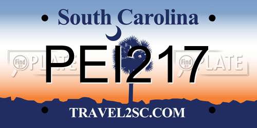 PEI217 South Carolina License Plate