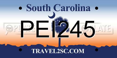 PEI245 South Carolina License Plate