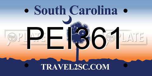 PEI361 South Carolina License Plate