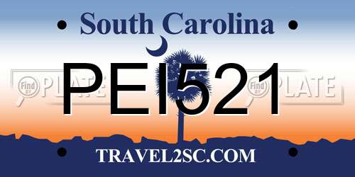 PEI521 South Carolina License Plate