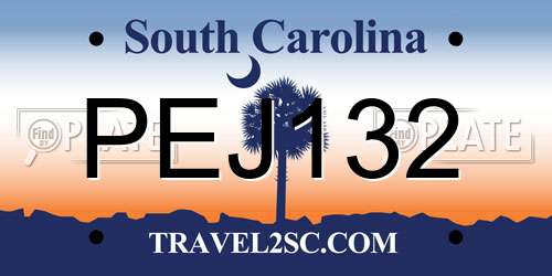 PEJ132 South Carolina License Plate
