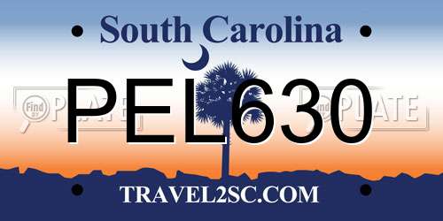PEL630 South Carolina License Plate
