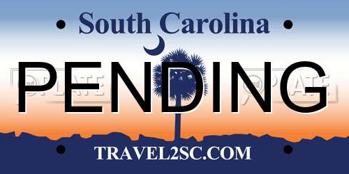 PENDING South Carolina License Plate