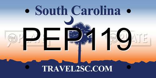 PEP119 South Carolina License Plate