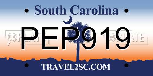 PEP919 South Carolina License Plate