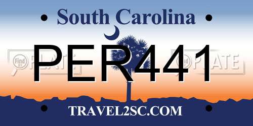 PER441 South Carolina License Plate