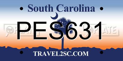 PES631 South Carolina License Plate