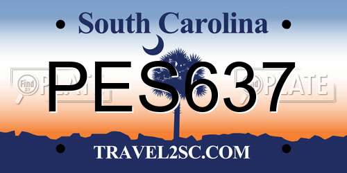 PES637 South Carolina License Plate
