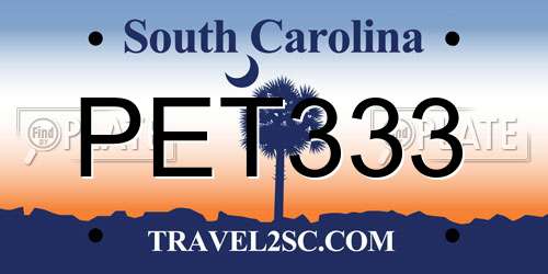 PET333 South Carolina License Plate