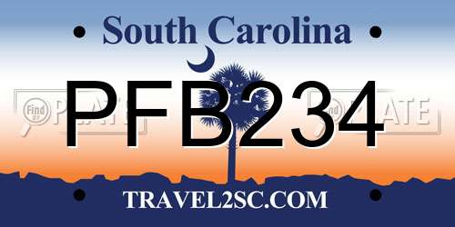 PFB234 South Carolina License Plate