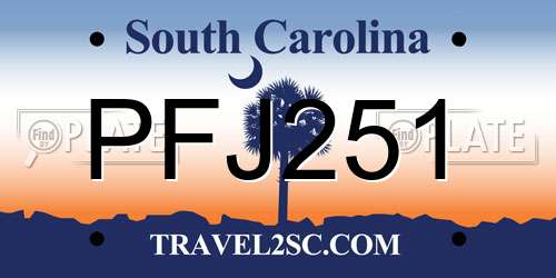 PFJ251 South Carolina License Plate