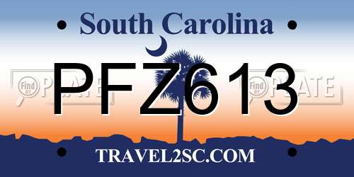 PFZ613 South Carolina License Plate