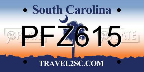 PFZ615 South Carolina License Plate