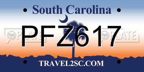 PFZ617 South Carolina License Plate