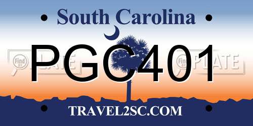 PGC401 South Carolina License Plate