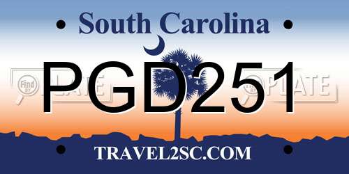 PGD251 South Carolina License Plate