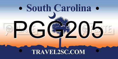 PGG205 South Carolina License Plate