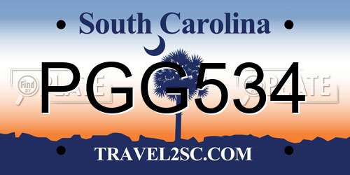 PGG534 South Carolina License Plate
