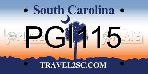 PGI115 South Carolina License Plate