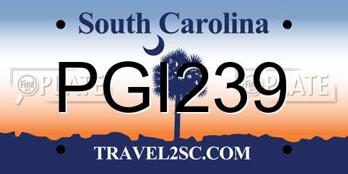 PGI239 South Carolina License Plate
