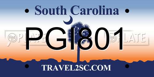 PGI801 South Carolina License Plate