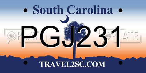 PGJ231 South Carolina License Plate
