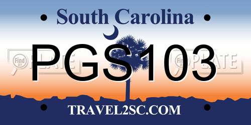 PGS103 South Carolina License Plate